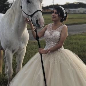 Meet your Posher, Mari